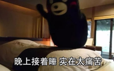 睡睡平安,探索睡睡平安的深层含义