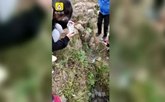 网红村涨水,水漫金山，网络热度飙升