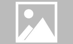 小U优优子,打造个性化微信小程序，轻松发布精彩文章